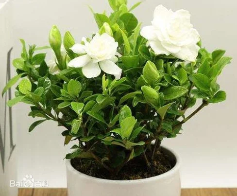 秦霄贤什么时候入的门（天津地铁秦霄贤）8