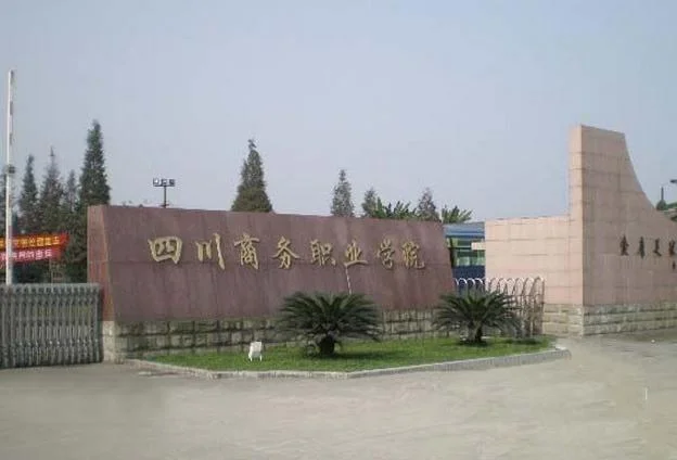 《成都一个来了就不想走的城市》是什么（成都地铁mlc）