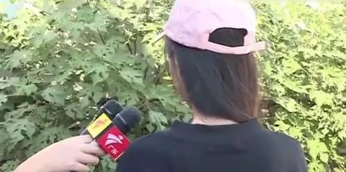 成都一男子地铁内猥亵姑娘遭众人群殴你遇到过这样的事情吗(成都男子地铁上猥亵妙龄女20多分钟)3