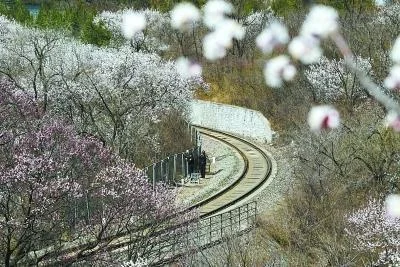 北京S2号线属于铁路还是城市轨道交通（北京地铁s2）