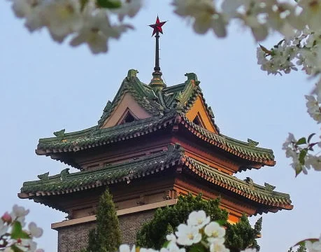 南京上海路地铁站附近哪边有修手表的地方就是普通的手表不是品牌表！（南京地铁电子牌）