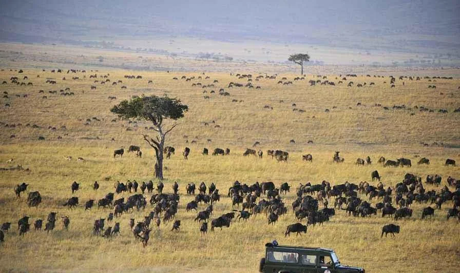 中国帮助非洲修铁路的事(非洲人看蒙内铁路)