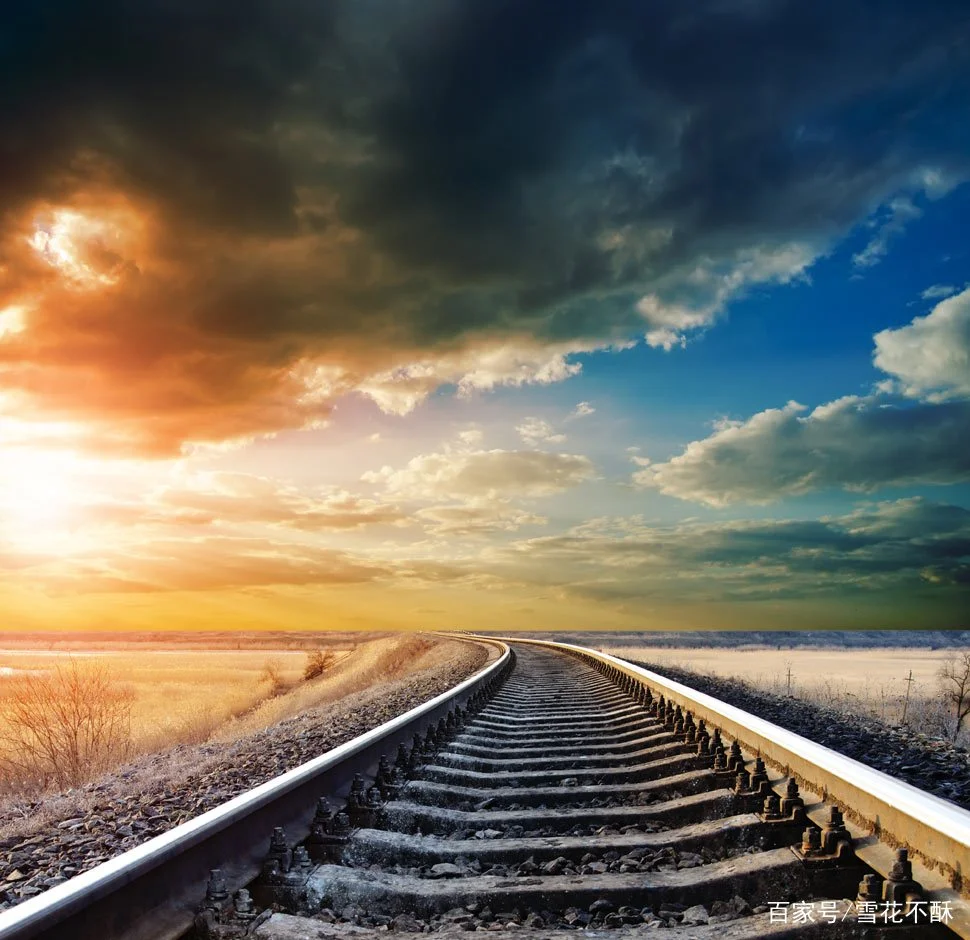 铁路道轨是什么材质（铁路弹条弹力）