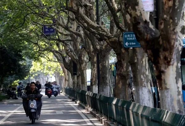 求杭州地铁坍塌事故分析（杭州地铁选址意见书）