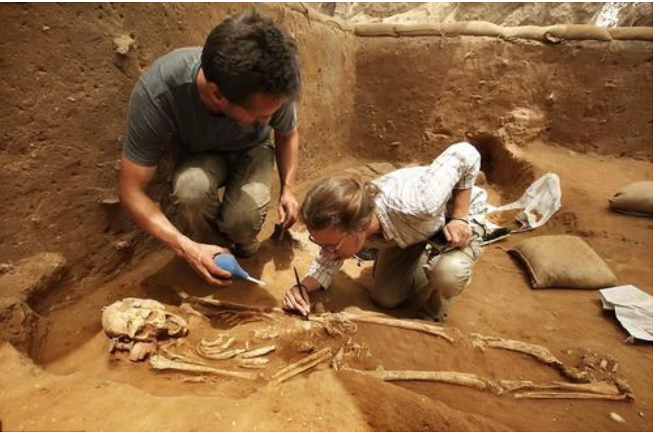 西安的大神们有谁具体知道西安地铁14号线的辛王路站具体在哪个位置吗（西安地铁十四号线文物）3