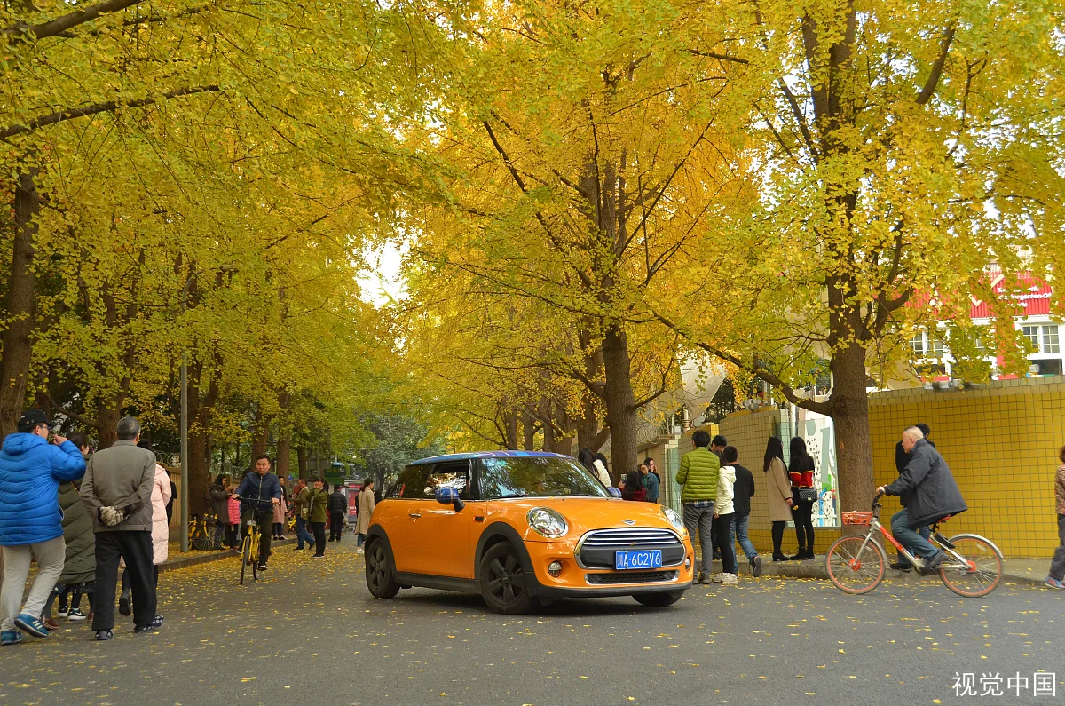 求成都地铁线路图可以放大看清每一个站点！谢谢（成都地铁站照片）4
