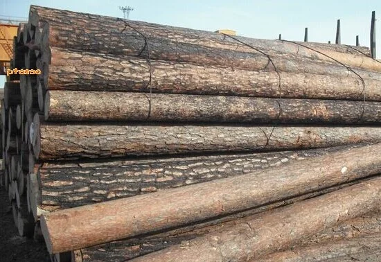 广州-中山-珠海要有新的城际铁路了！（鱼珠铁路摄影）2