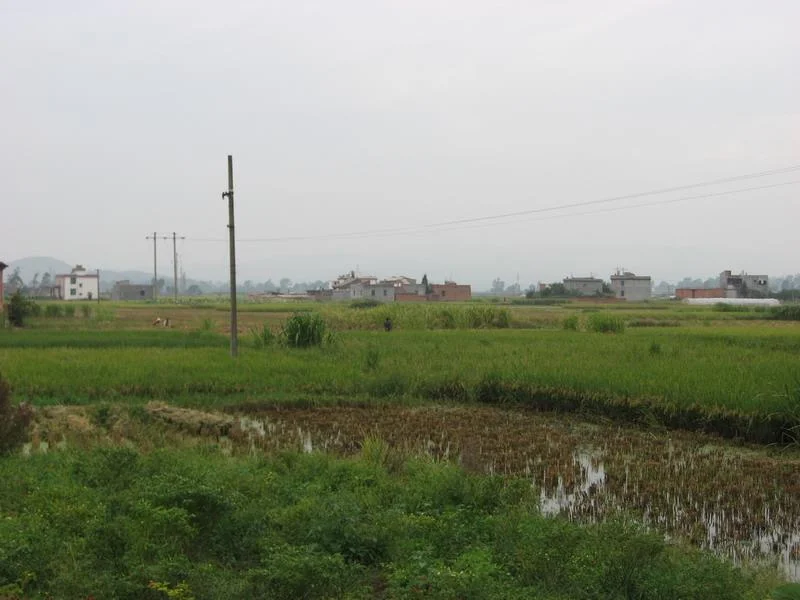 干河村的自然资源（干河村铁路）7