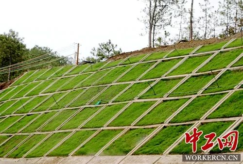 滇藏铁路是否在建（2017丽香铁路最新消息）3