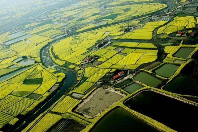 湖北哪几个县市即将迎来高铁呢（沙洋高铁）4