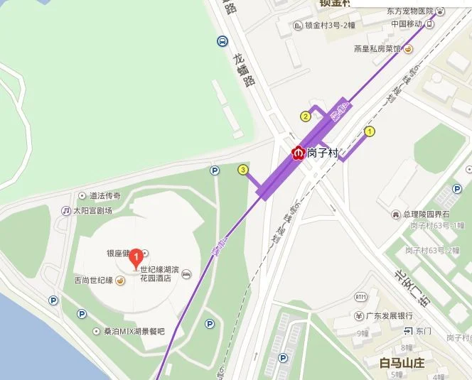 南京总统府地铁坐几号线（南京美龄宫坐地铁几号线）3