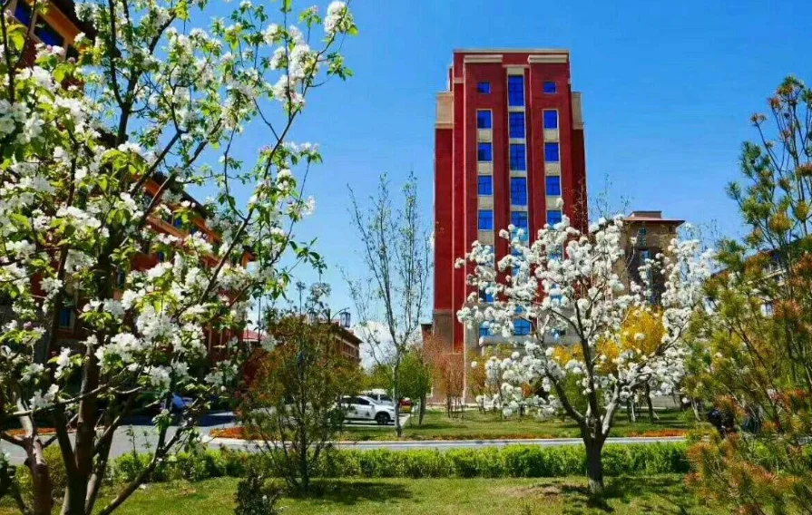 南京火车站到禄口机场有地铁吗(南京地铁孙林祥教授高工)2