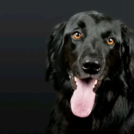 坐地铁到沙坪埧下要到蓝溪谷地该从几号出口出站（蓝溪谷地地铁出口）