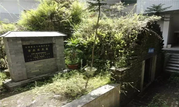 为什么曾经有亚洲最牛铁路的印度现在铁路这么差劲（长牛铁路封闭）3