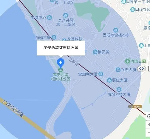 深圳红树林是在哪个地铁站下(西湾红树林公园地铁哪个出口)1