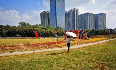 世界哪些城市有地铁（深圳地铁越南）