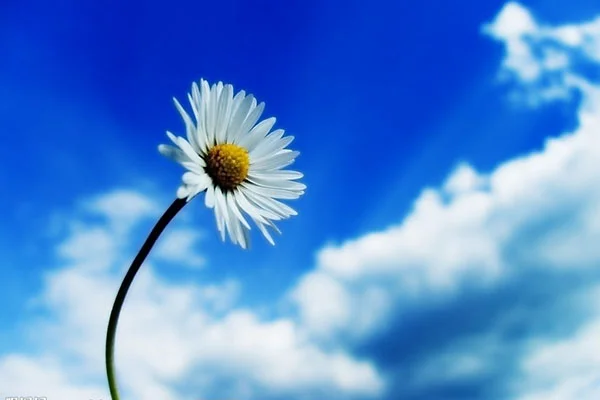 武汉地铁什么时候开始运营（武汉地铁实名）