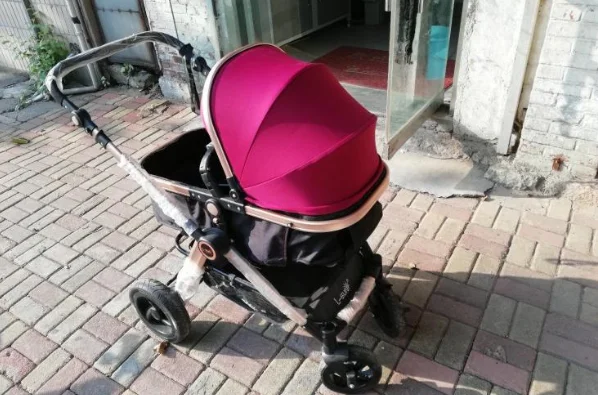 6个月宝宝坐高铁危害（高铁上婴儿）4