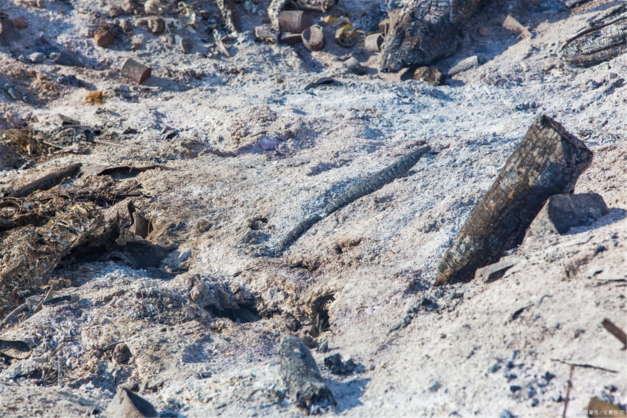 疫情期间成都地铁会停运吗(成都地铁失火)