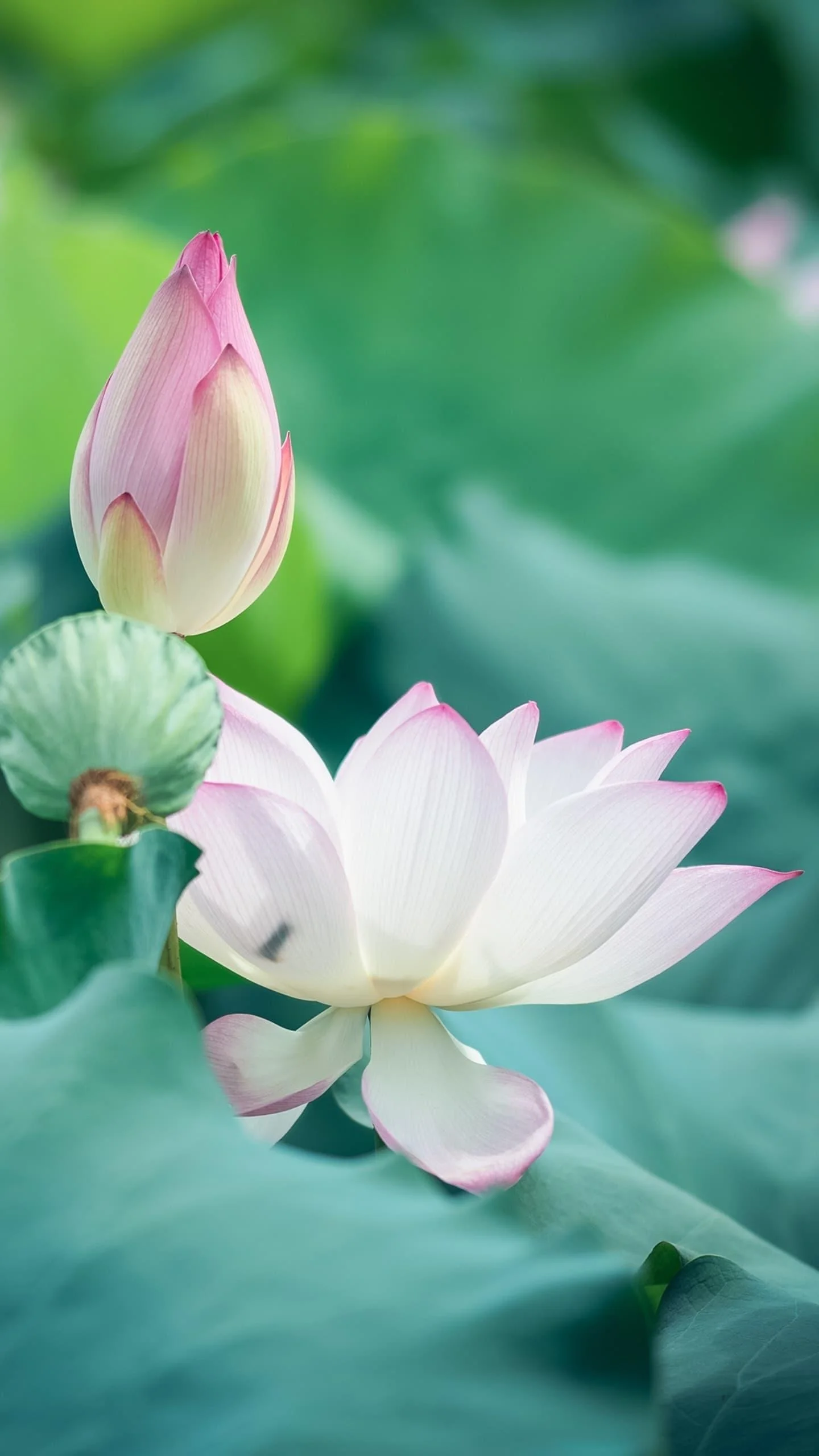 盱眙县旧铺镇宁淮新城拆迁安置房怎样兑换（宁淮新城铁路旧铺站）