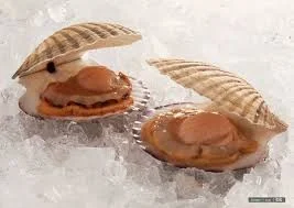 含铁高的食物有哪些（铁高的食物）