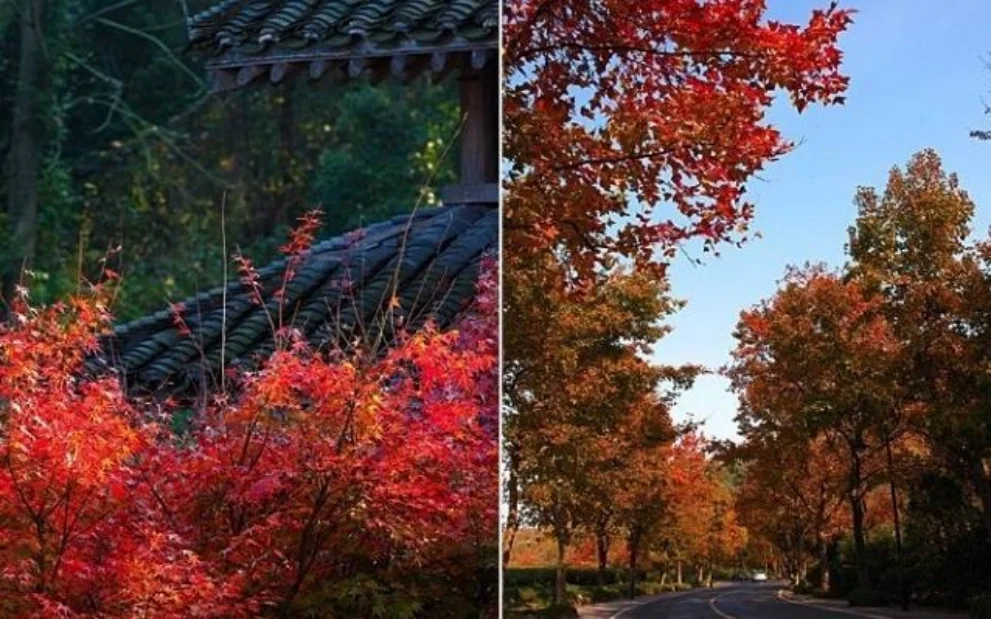 杭州婚礼纪地铁怎么坐（婚礼纪杭州地铁）4