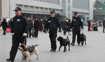 谁知道天津公安局公交总队招考的轨道交通安保员具体干嘛工作怎么个上班时间呀急求!(轨道交通安保工作职责)