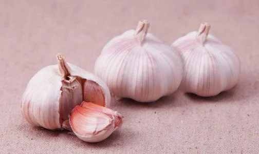 男子地铁剥蒜蒜皮撒一地结果怎么样了(天津地铁捡大蒜皮)