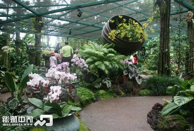 新加坡#新加坡植物园坐地铁到哪个站（新加坡植物园地铁出口）