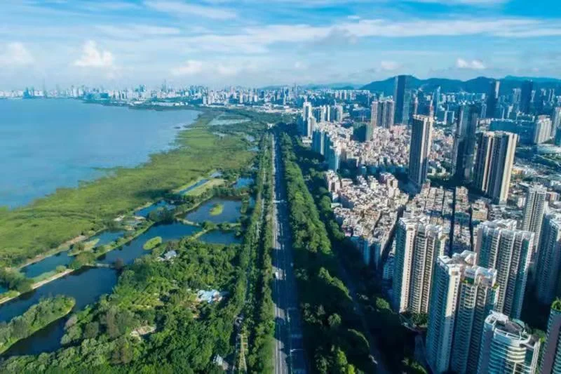 深圳地铁沿线有什么好玩的地方（深圳地铁十大网红打卡地）3