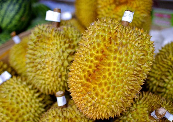 地铁上可以带未打开的榴莲吗（西安坐地铁可以带榴莲吗）