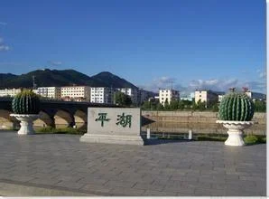 深圳平湖到广州火车站有地铁吗怎样坐车快(平湖地铁广州)2