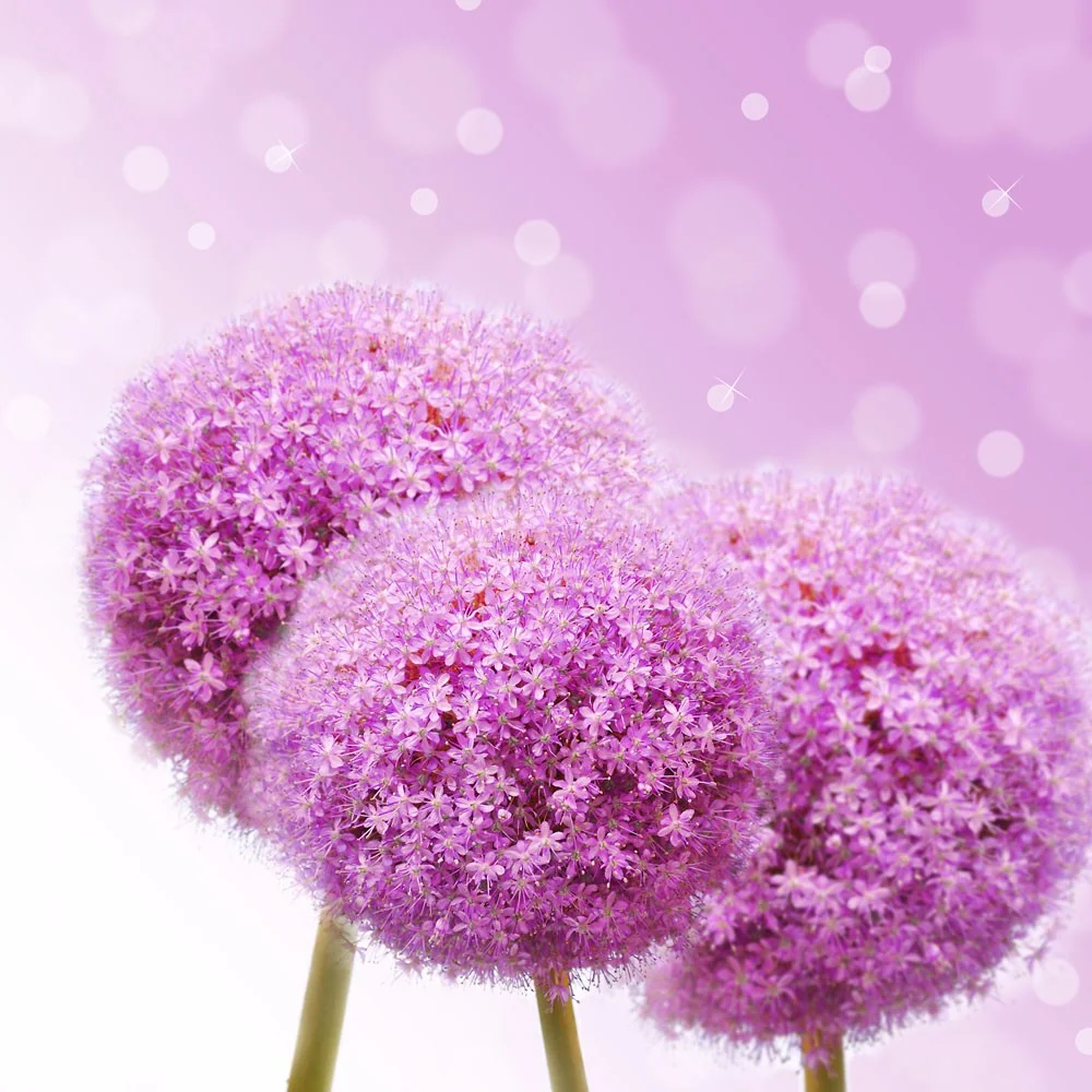 成都地铁4号线的建设动态（成都地铁4号线西站楼盘）3