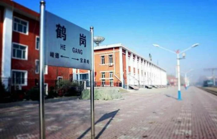 黑龙江2020铁路规划图拜泉有吗（2017年鹤岗铁路规划）