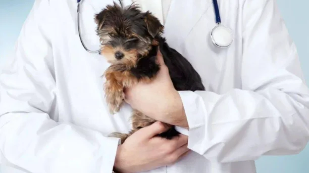 报名成功后没去参加考试对以后报考有影响吗(成都地铁考试没去考会怎样)1