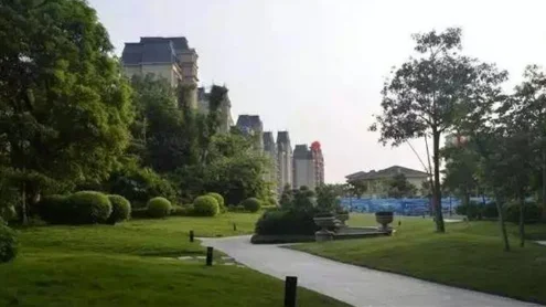 成都街拍的光头情侣为什么剃光头（成都地铁光头男子）