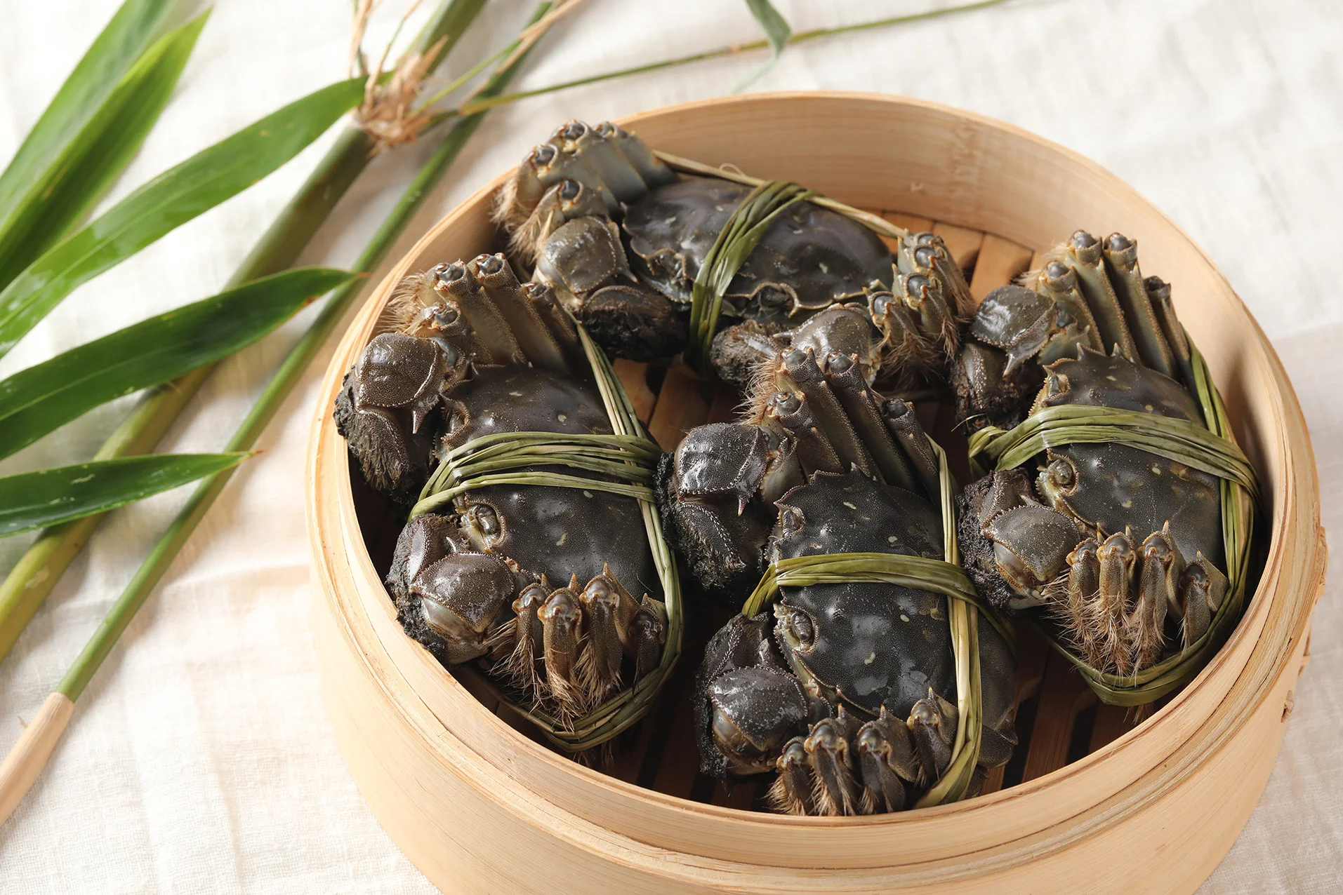 上海普陀区客运中心坐几路公交去祁连山南路2888耀光中环国际广场（上海耀光中环国际广场地铁）