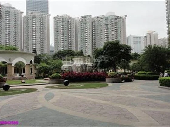 香港迪斯尼到九龙 红磡黄埔花园德丰街20号怎么做地铁（黄埔花园地铁站）