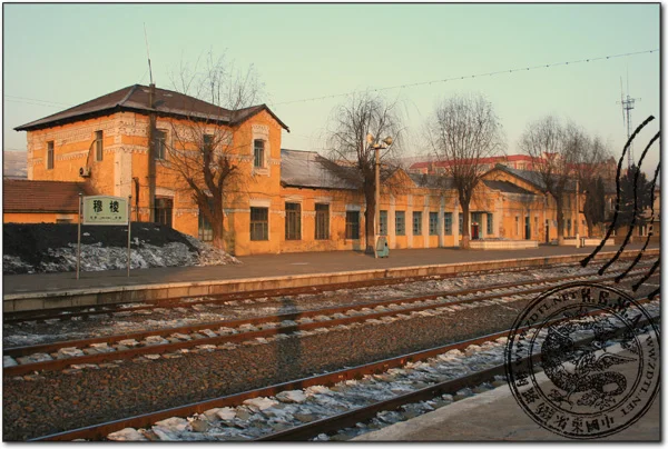 d3141动车时刻表经过的车站（兴源镇高铁）