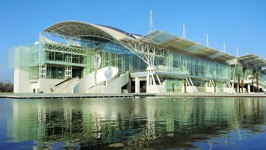 南京南站地铁站到南京林业大学新庄站地铁站怎么走 –（新庄林业大学地铁出口）