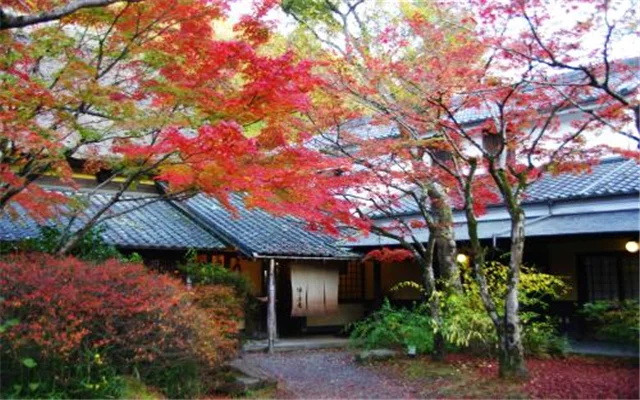 求日本最新地铁线路图（日本东京地铁线路图app）3