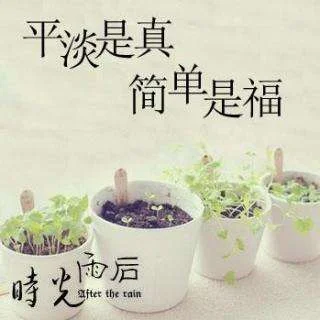 合景庐月湾一期和二期的口碑和质量怎么样（庐月湾铁路）