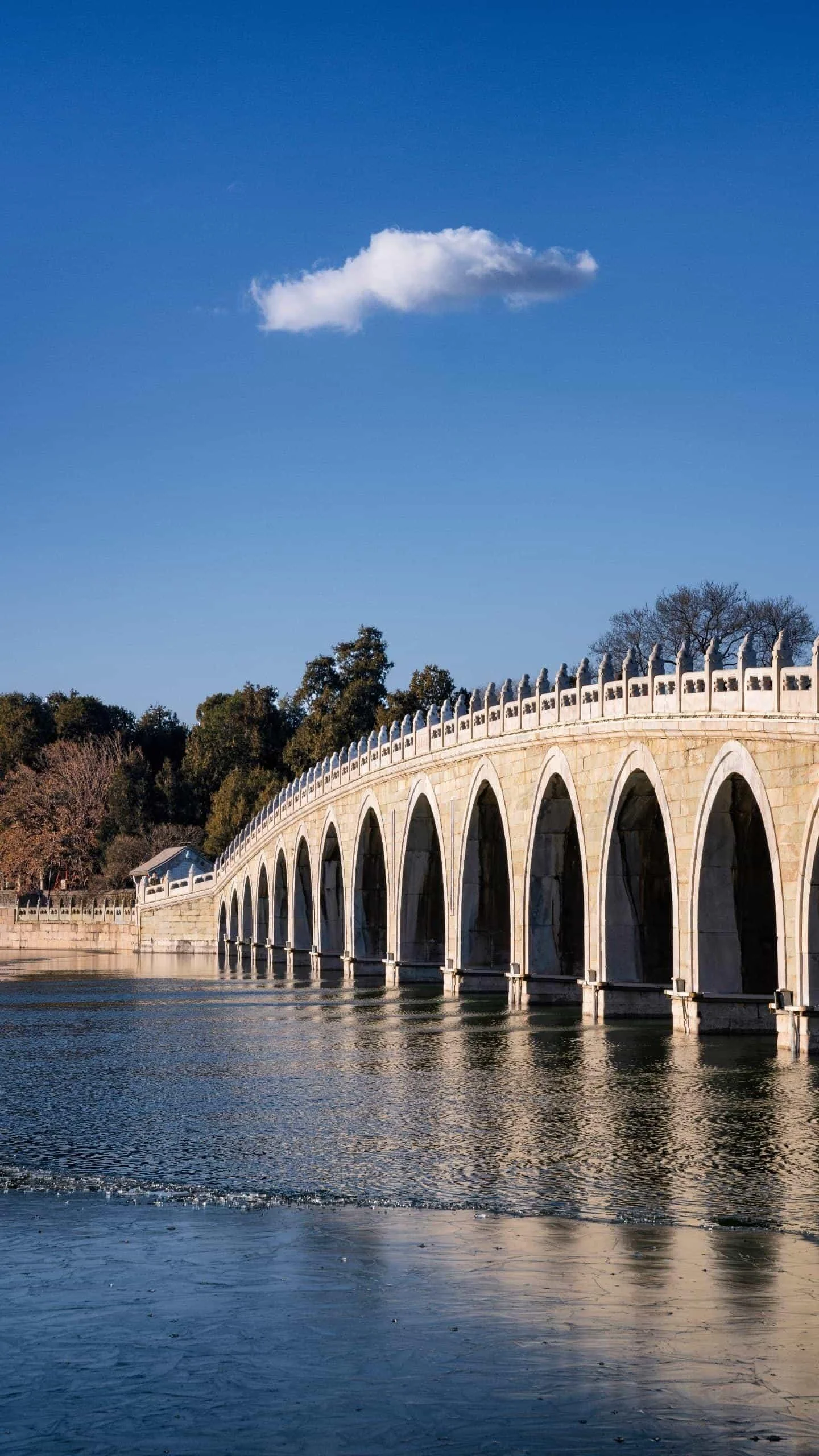 2020年京九高铁经过项城吗(项城高铁最新消息)