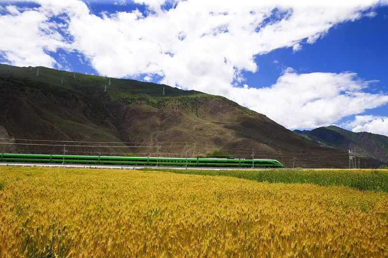 对拉萨-林芝段铁路规划方案的认识（林织高铁）