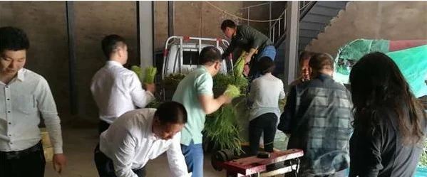 郑州地铁 规划路线图(地图)要清晰版的(开封轨道交通规划图)