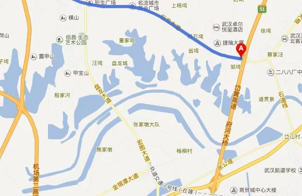 地铁二号线巨龙大道站在那里（武汉巨龙大道地铁几号线）