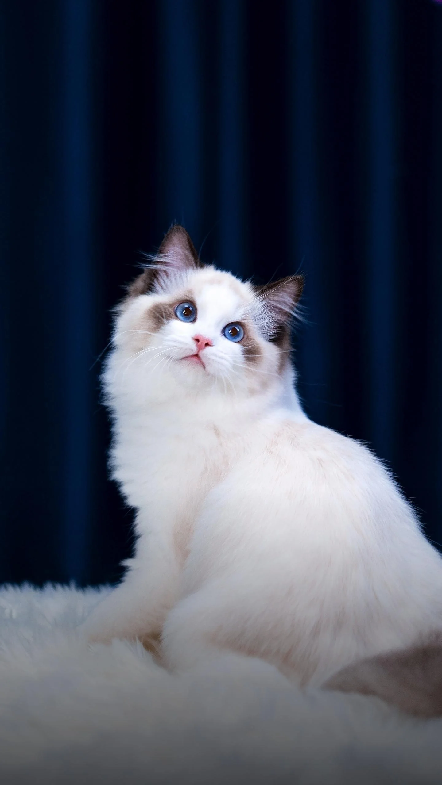 这两天上海地铁查体温吗（上海地铁站测体温吗）1