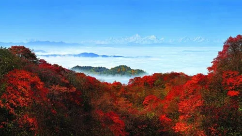 沈阳站是火车站还是高铁站（长子高铁）2