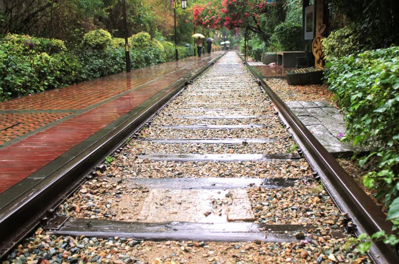 铁路对政治经济文化的影响与意义（铁路与文化）