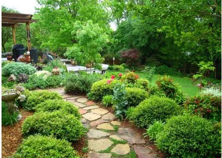 铁路沿线绿化苗木种类有哪些价格（铁路绿化报价）